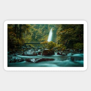 Tropic Waterfall on a Rocky River in Rain Forest Magnet